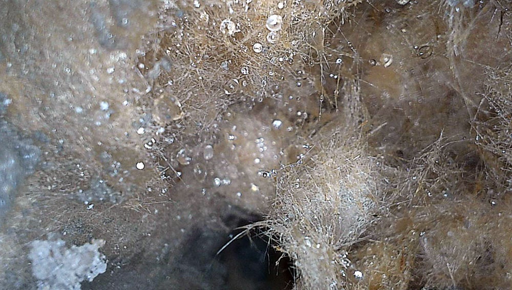 Borescope survey showing wet blown fibreglass insulation within a cavity wall